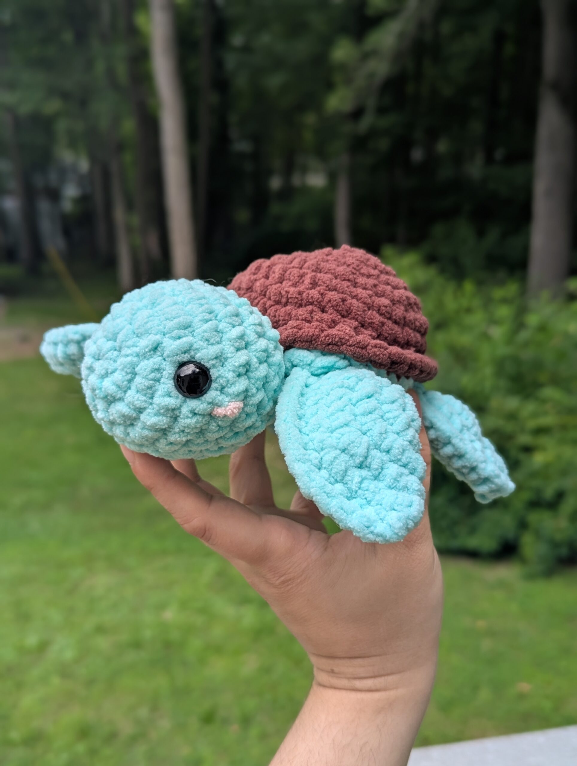mini turtle mini turtle