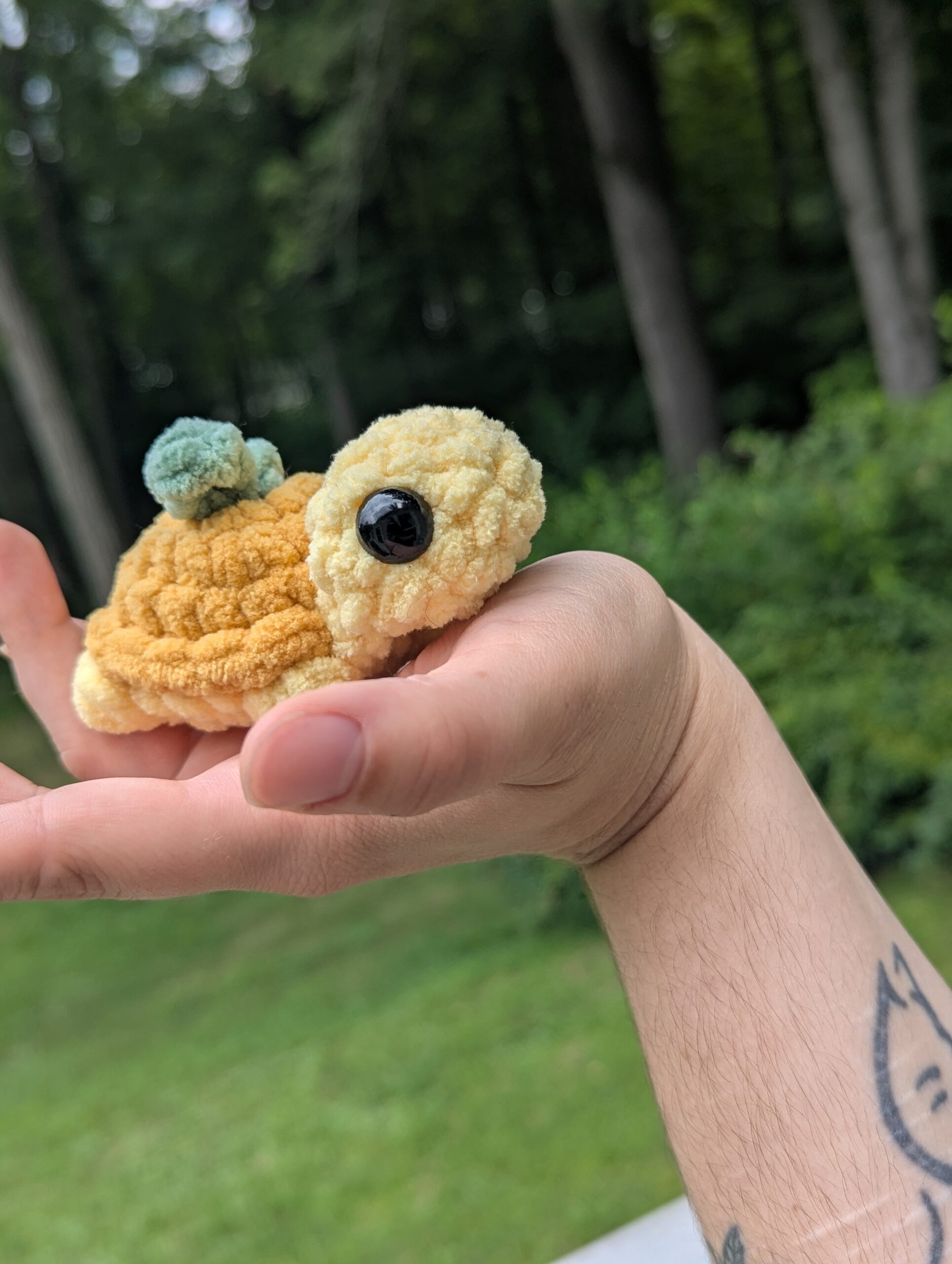 tinyturtlelemon tinyturtlelemon