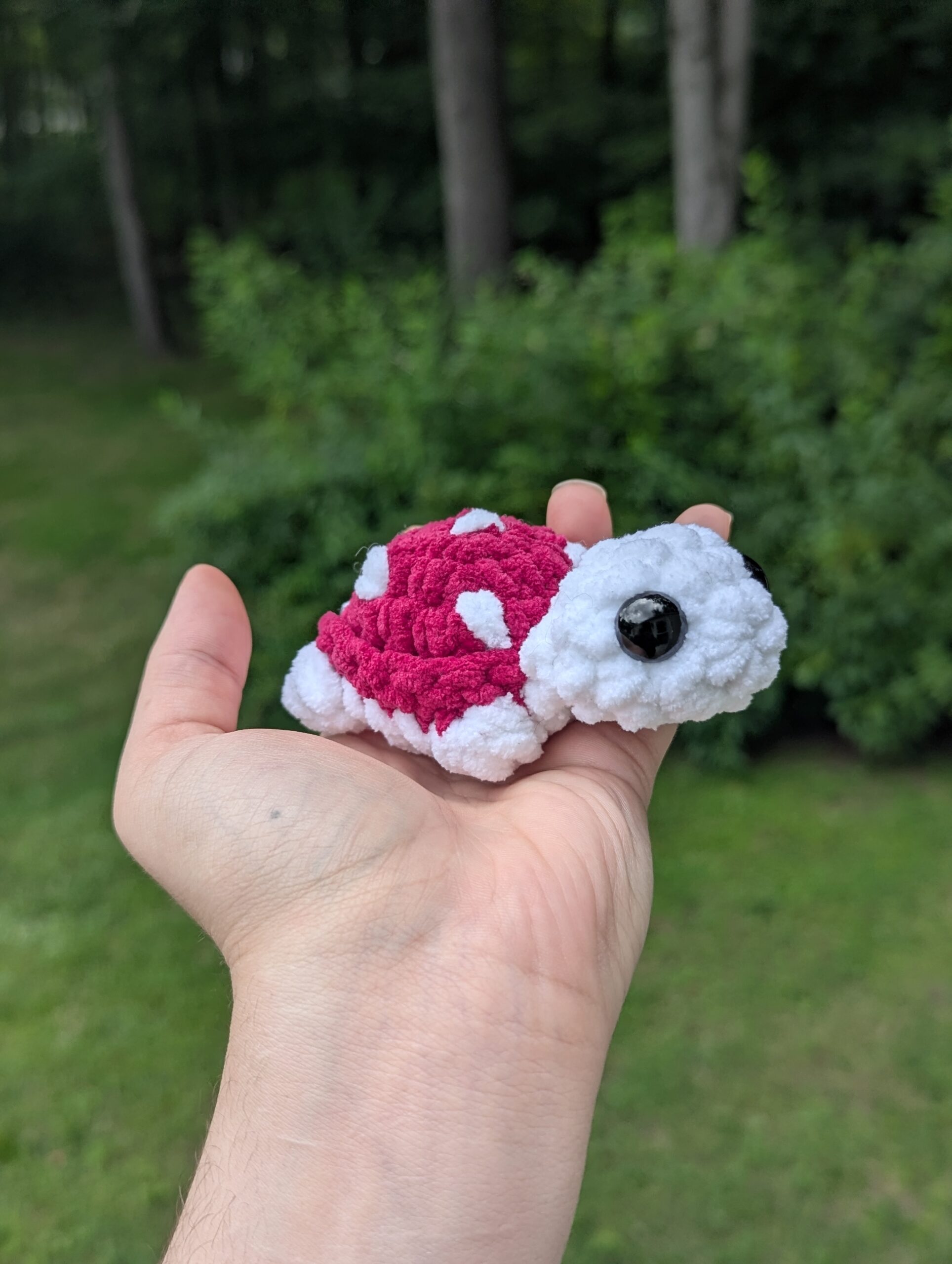tinyturtlemushroom tinyturtlemushroom